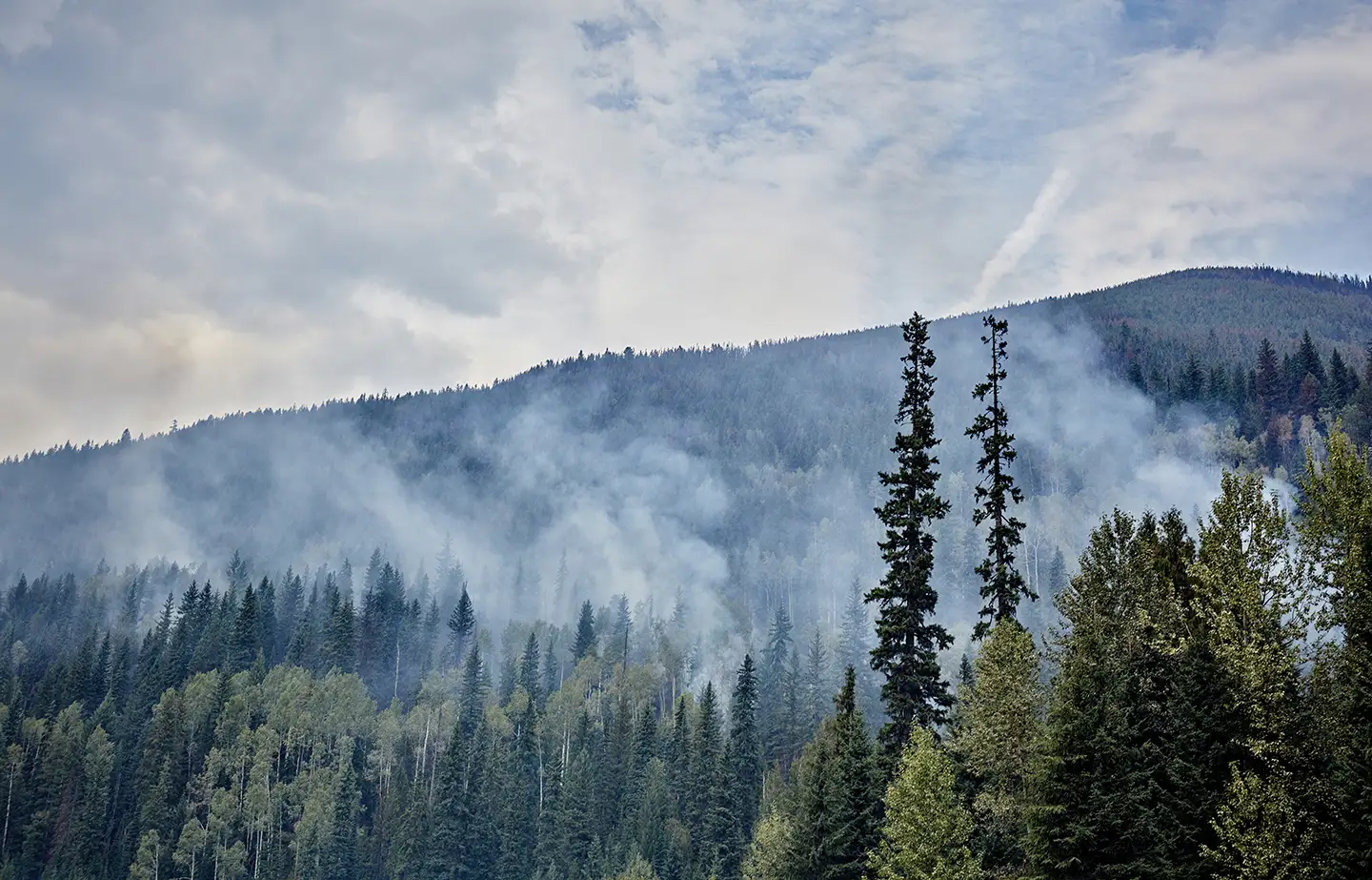 Aerial photo of wildfire burning in forested area